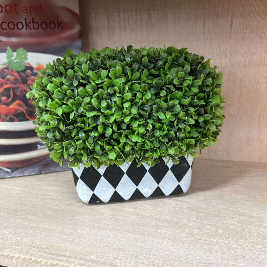Plant Decor