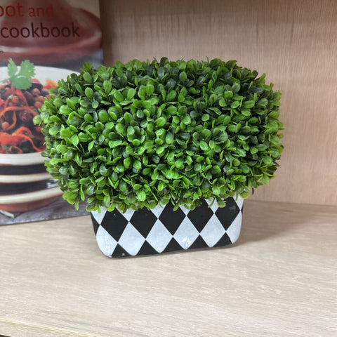 Plant Decor
