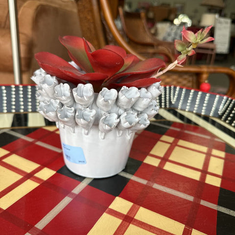 Plant Decor