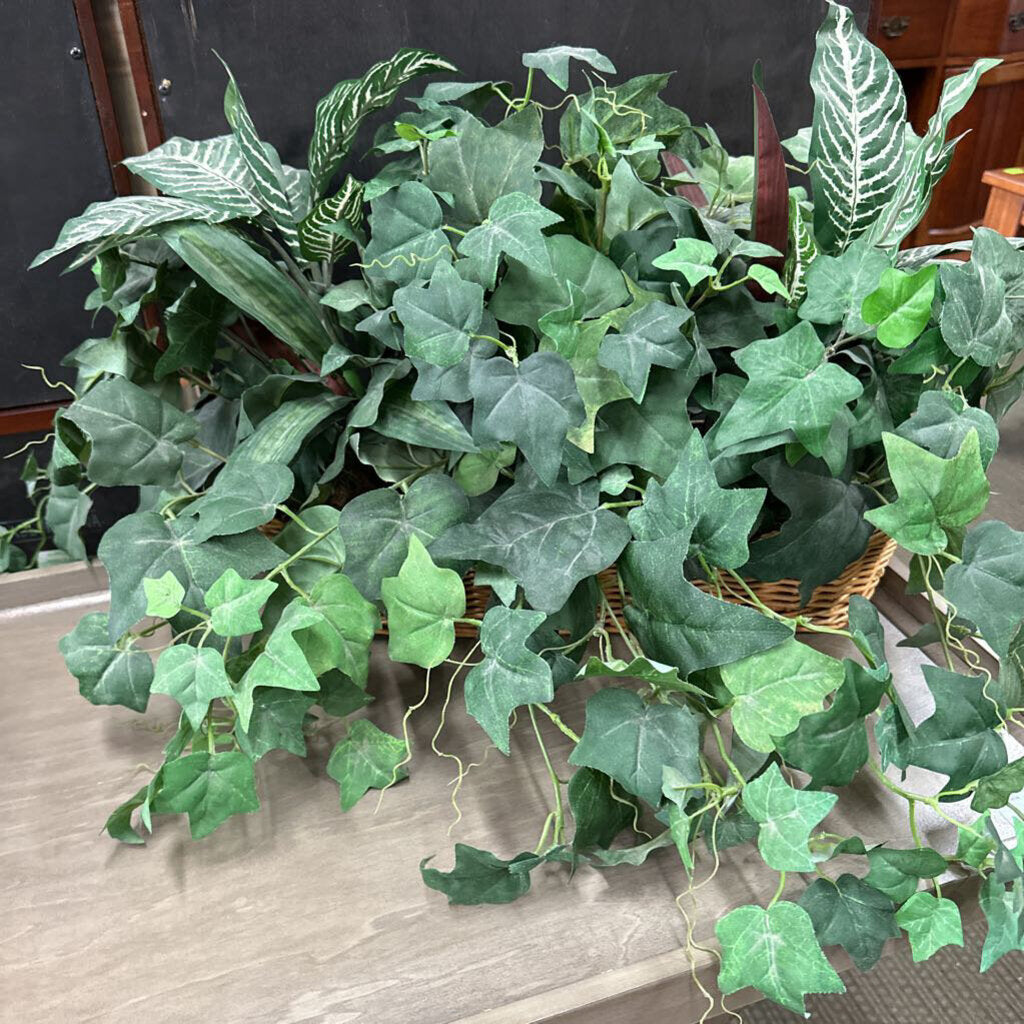 Plant Decor