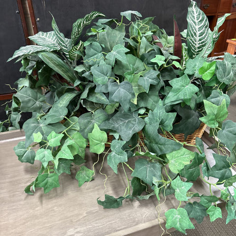 Plant Decor