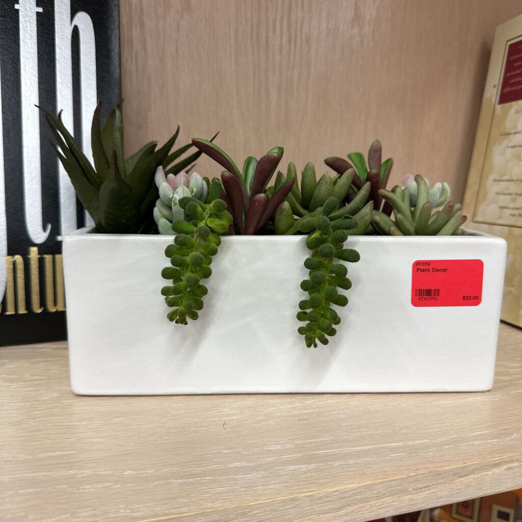 Plant Decor