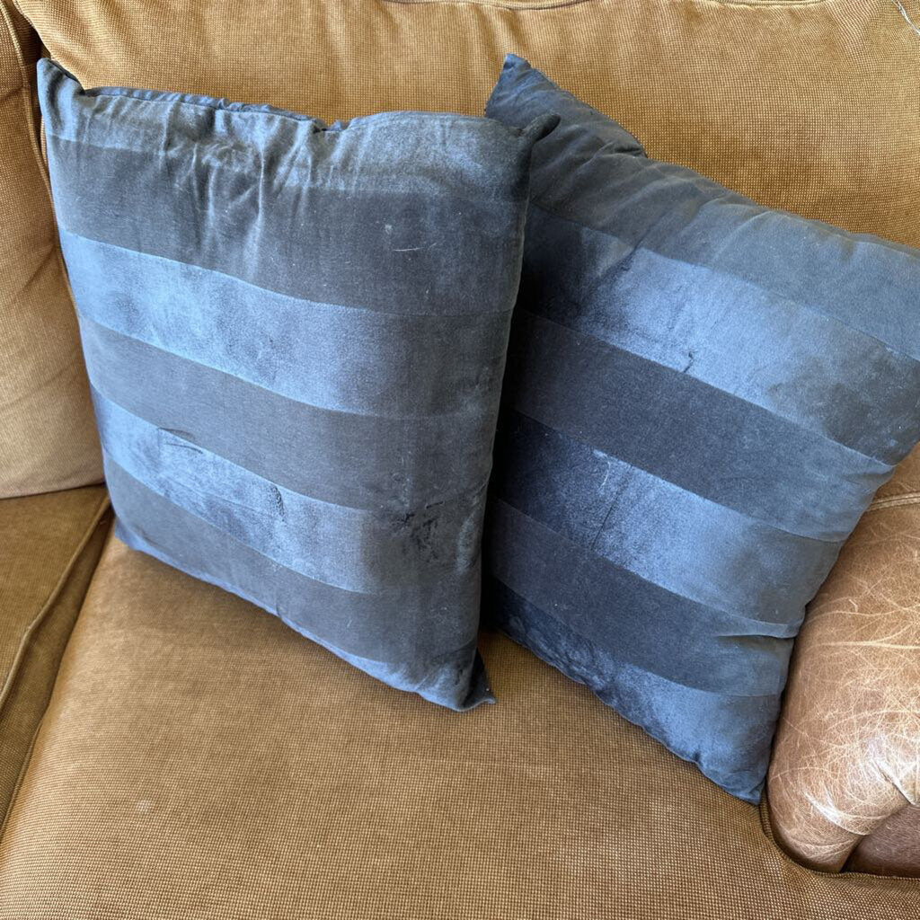 Pair of Accent Pillows