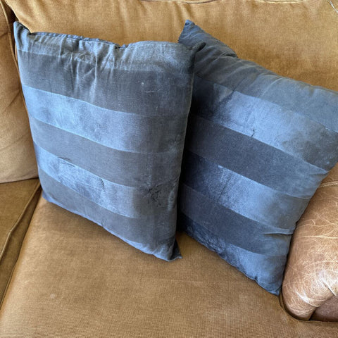 Pair of Accent Pillows