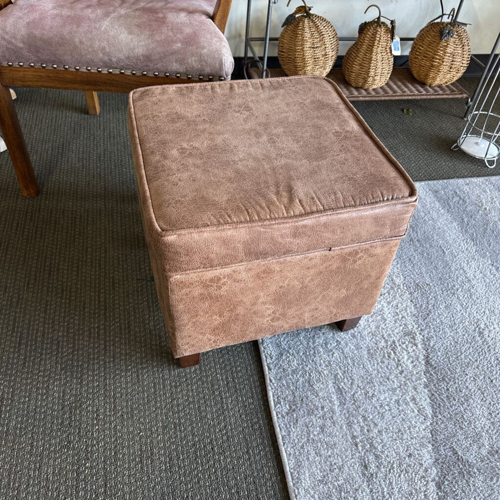 Klein Furniture Storage Ottoman