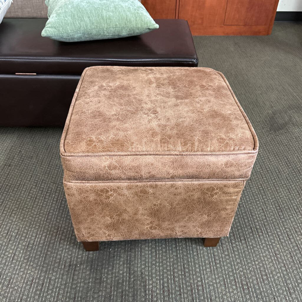 Klein Furniture Storage Ottoman
