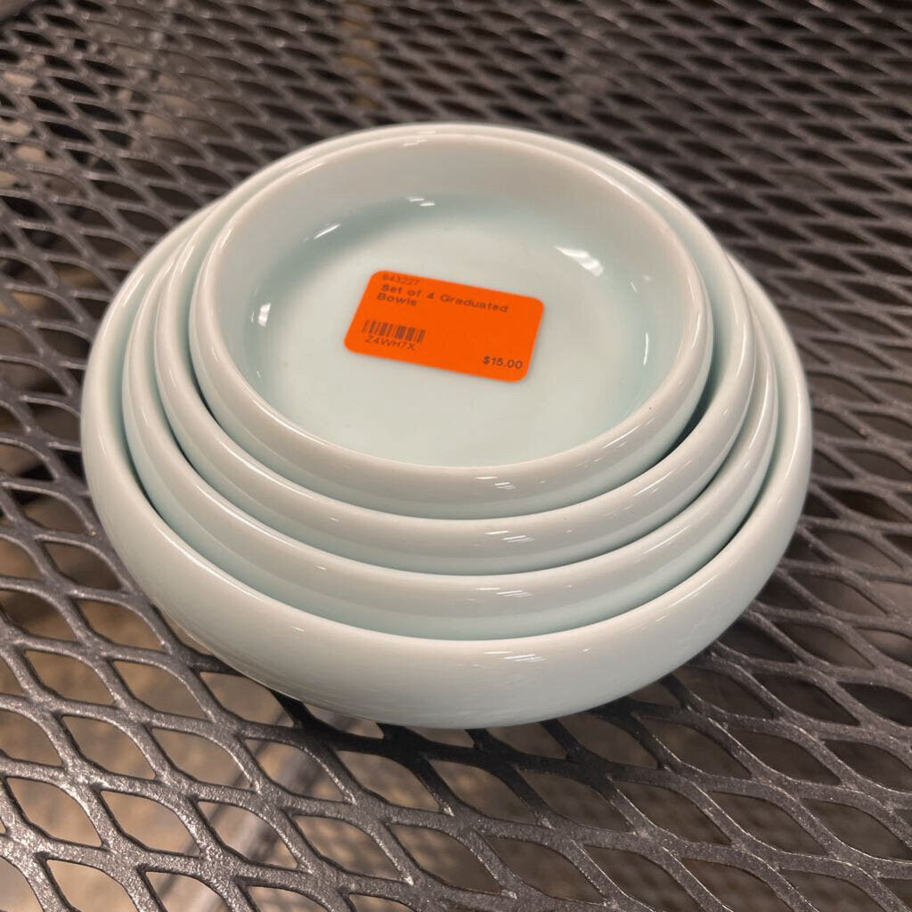 Set of 4 Graduated Bowls