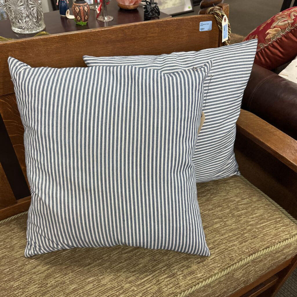 Pair of Down Pillows