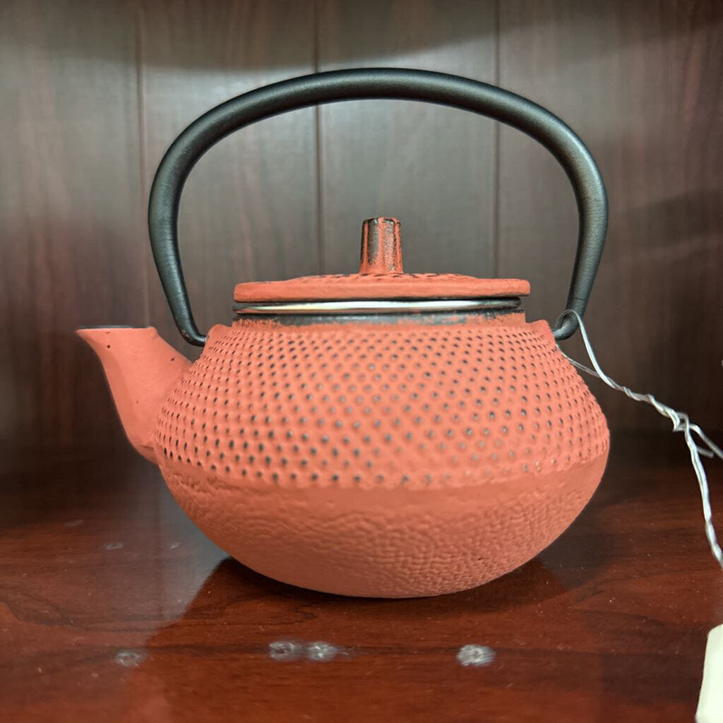Cast Iron Tea Pot