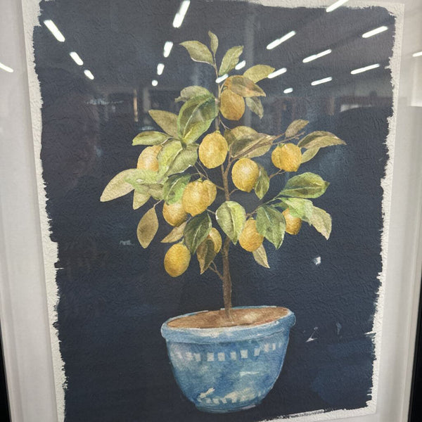Pair of Prints