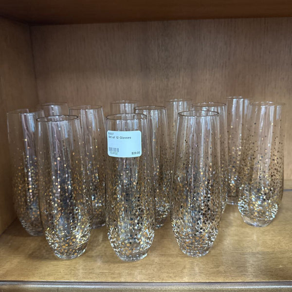 Set of 12 Glasses