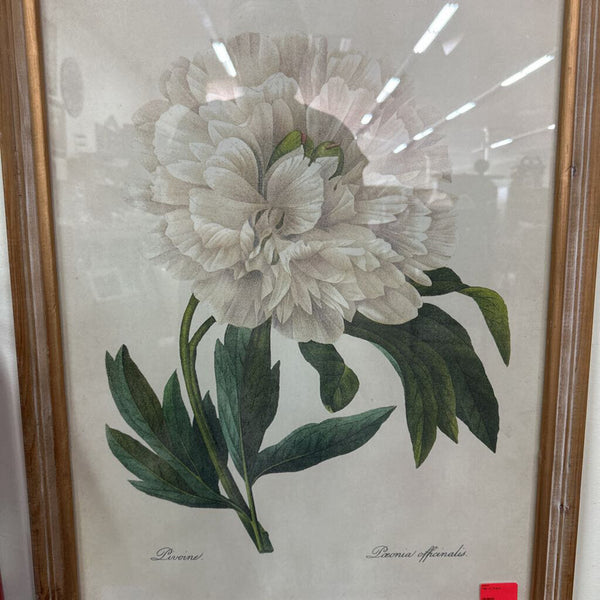 Pair of Prints