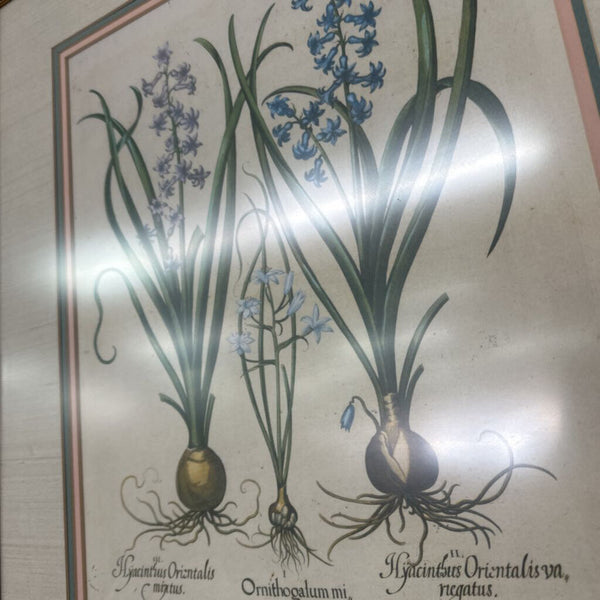 Pair of Prints