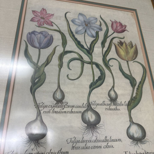Pair of Prints